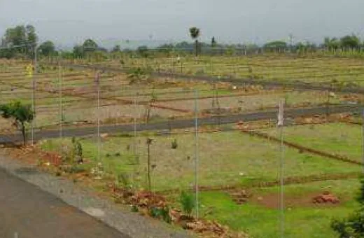  150 Bigha Agricultural/Farm Land for Sale in Kosamba, Surat