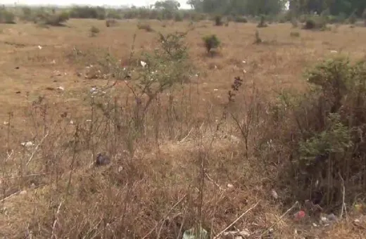  2000 Sq.ft. Residential Plot for Sale in MR 10, Indore