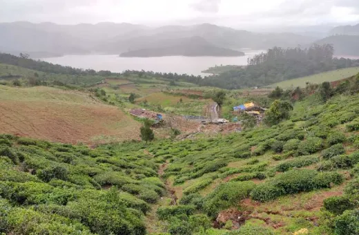  3 Acre Agricultural/Farm Land for Sale in Coonoor, Ooty