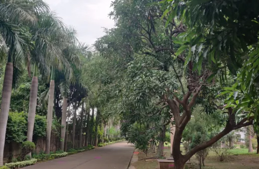  9236 Sq.ft. Residential Plot for Sale in VIP Road, Raipur