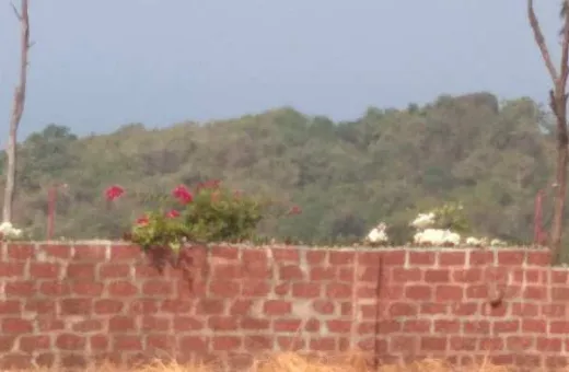  44 Guntha Commercial Land for Sale in Ganpatipule, Ratnagiri