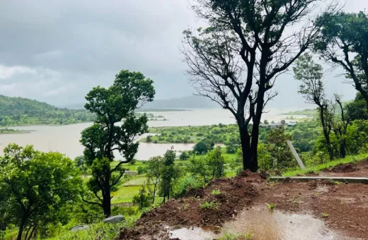  220 Acre Agricultural/Farm Land for Sale in Deesa, Banaskantha