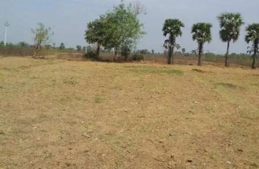 16 Acre Agricultural/Farm Land for Sale in Pardi, Vapi