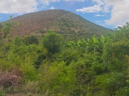  2 Acre Agricultural/Farm Land for Sale in 12th Cross Rd, Bellandur, Bangalore