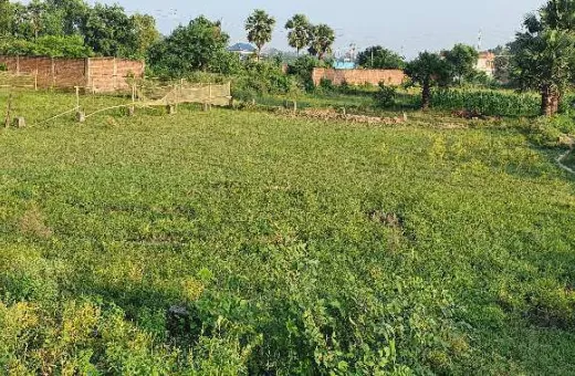  8166 Sq.ft. Residential Plot for Sale in Kundalpur Champaran