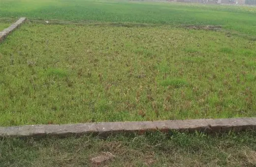  1360 Sq.ft. Residential Plot for Sale in Alinagar, Mughalsarai