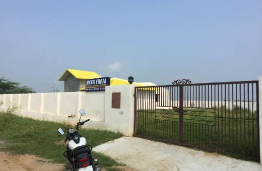  1050 Sq. Yards Agricultural/Farm Land for Sale in Samana, Patiala