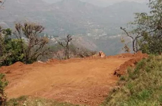  198720 Sq.ft. Residential Plot for Sale in Bhimtal, Nainital