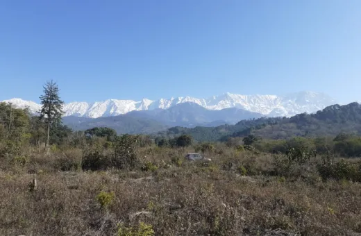 15791 Sq.ft. Residential Plot for Sale in Chilgadi, Dharamsala
