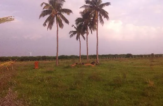  9 Acre Agricultural/Farm Land for Sale in Palayamkottai, Tirunelveli