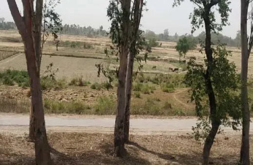  1000 Sq.ft. Commercial Land for Sale in Kisan Path, Lucknow