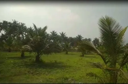  5 Acre Agricultural/Farm Land for Sale in Marandahalli, Dharmapuri