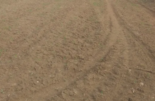  2 Acre Agricultural/Farm Land for Sale in Huzur, Bhopal