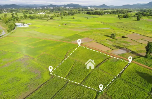  12 Cent Residential Plot for Sale in Alavil, Chirakkal, Kannur