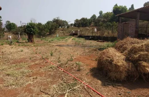  17000 Sq.ft. Agricultural/Farm Land for Rent in Bhor, Pune