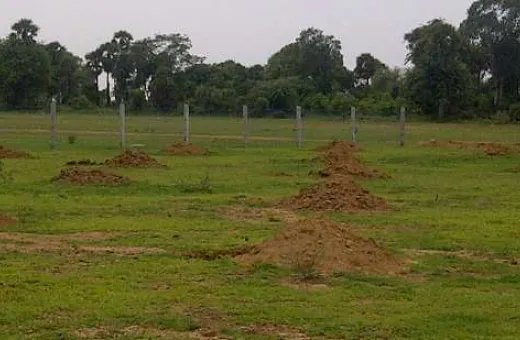  5 Bigha Residential Plot for Sale in Garia, Kolkata