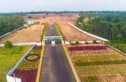  200 Sq. Yards Residential Plot for Sale in Tagarapuvalasa, Visakhapatnam