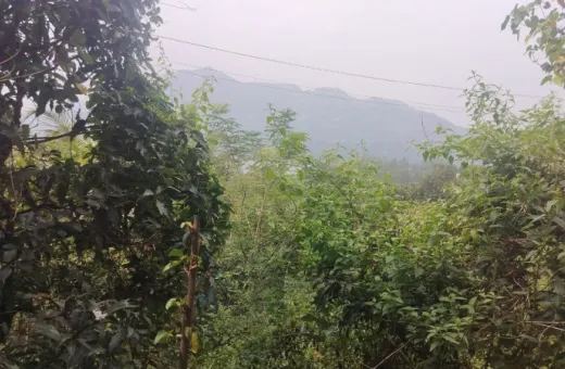 3 BHK 39000 Sq.ft. Farm House for Sale in Mulshi, Pune