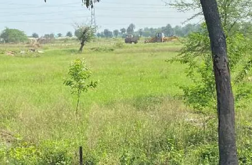  1350 Sq.ft. Residential Plot for Sale in Aerocity, Mohali