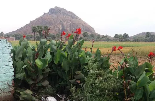  80000 Sq.ft. Commercial Land for Sale in Churi, Gaya