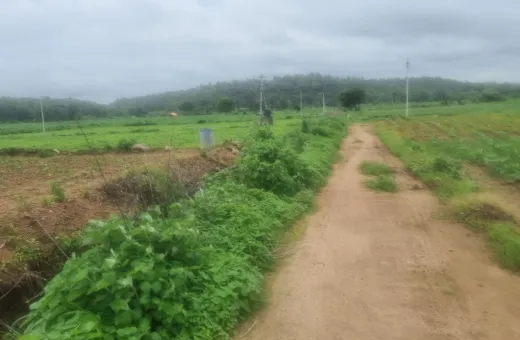  52 Acre Agricultural/Farm Land for Sale in Nirmal, Adilabad