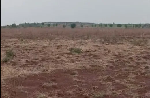  16 Acre Agricultural/Farm Land for Sale in Peddemul,Vikarabad
