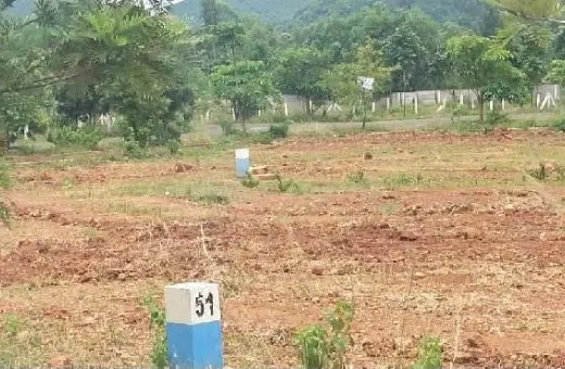  500 Sq. Yards Commercial Land for Sale in Sontyam, Visakhapatnam