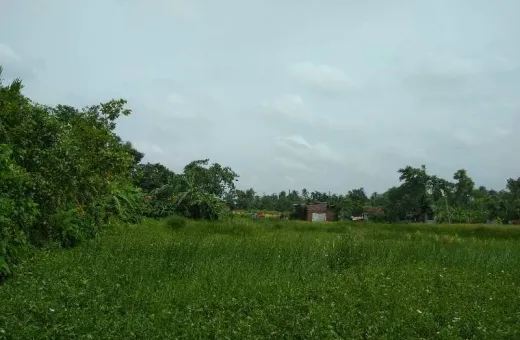  15120 Sq.ft. Residential Plot for Sale in Baruipur, South 24 Parganas