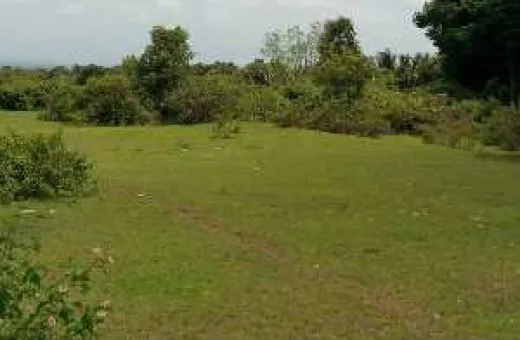  25 Cent Agricultural/Farm Land for Sale in Ettimadai, Coimbatore