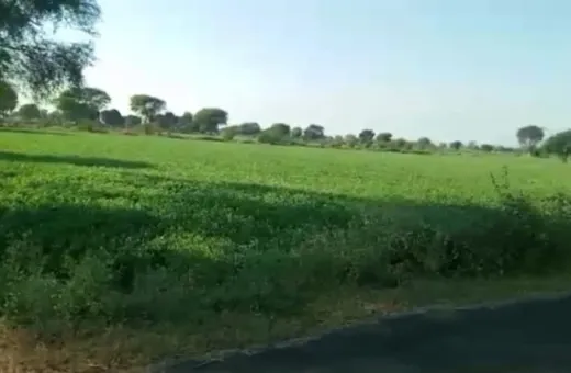  12 Bigha Agricultural/Farm Land for Sale in Bhuntar, Kullu