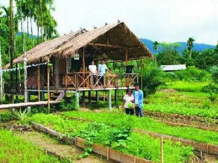  1016 Sq. Yards Agricultural/Farm Land for Sale in Araku Road, Visakhapatnam