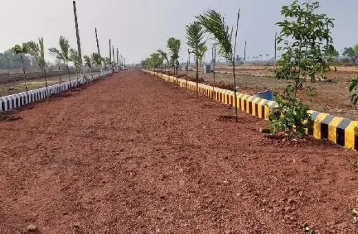  1500 Sq.ft. Residential Plot for Sale in Janla, Bhubaneswar