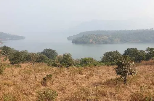  10 Acre Agricultural/Farm Land for Sale in Mulshi, Pune