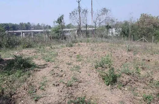  4 Acre Residential Plot for Sale in Umbergaon, Valsad