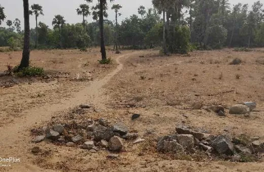  1 Acre Agricultural/Farm Land for Sale in Kalpakkam To Vandalur Road, Chennai