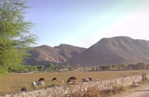  75 Bigha Agricultural/Farm Land for Sale in Ajmer Road, Jaipur