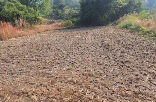  5 Acre Industrial Land for Sale in Midc, Pune