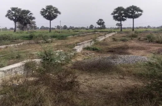  2000 Sq.ft. Residential Plot for Sale in Rajgir, Nalanda