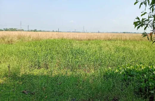  5 Bigha Agricultural/Farm Land for Sale in Rajpur Sonarpur, South 24 Parganas