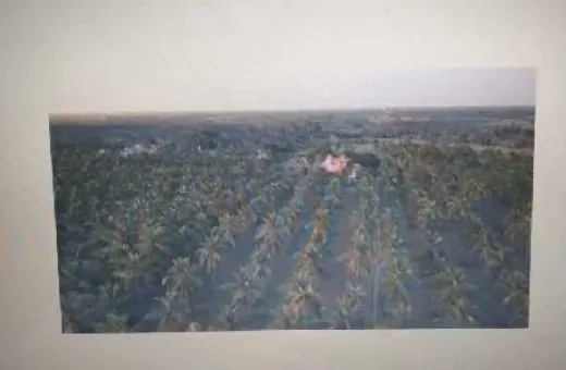  62 Acre Agricultural/Farm Land for Sale in Maduravayol, Chennai
