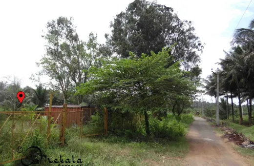  90 Cent Agricultural/Farm Land for Sale in Nachipalayam, Coimbatore