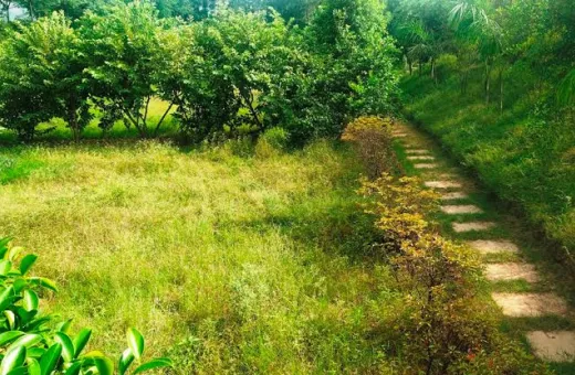  1000 Sq. Yards Residential Plot for Sale in Dera Mandi, Delhi