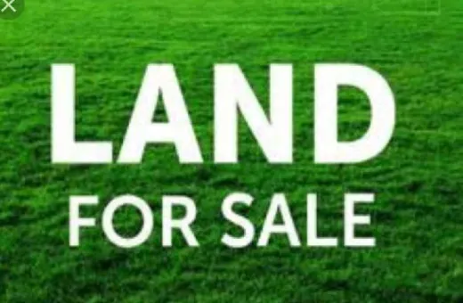  200 Sq. Yards Residential Plot for Sale in Pushkar, Ajmer