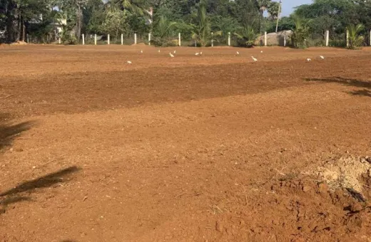  131 Sq. Yards Residential Plot for Sale in Patiala Road, Zirakpur