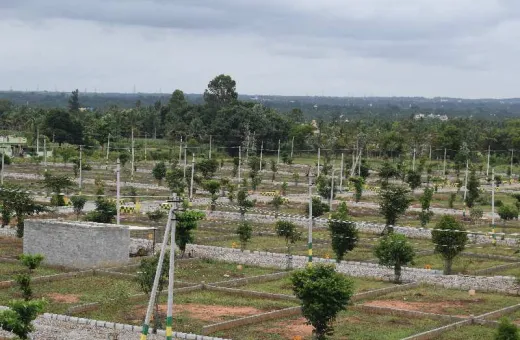  1200 Sq.ft. Residential Plot for Sale in Hessarghatta, Bangalore