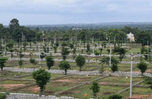  1200 Sq.ft. Residential Plot for Sale in Bilijaji, Bangalore