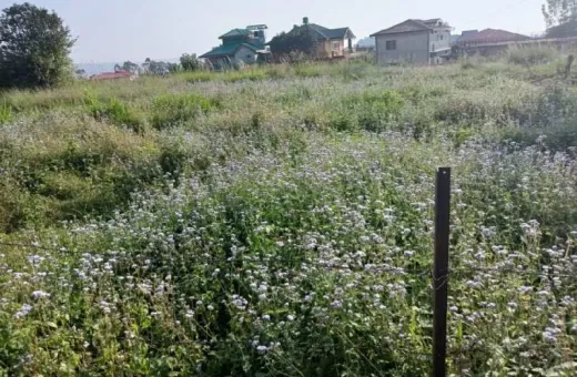  1 Marla Residential Plot for Sale in Tapovan, Dharamsala