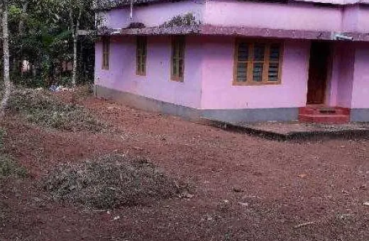  22 Cent Residential Plot for Sale in Kundara, Kollam