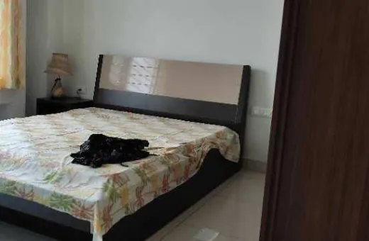 1 BHK 550 Sq.ft. Apartment for Rent in Hinjewadi Phase 1, Pune