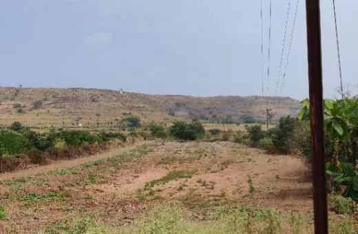  12000 Sq.ft. Agricultural/Farm Land for Sale in Saswad, Pune